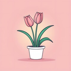 Beautiful tulip flowers in a pot on pink background