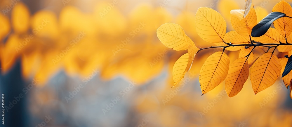 Poster graceful bird on autumn branch: nature's tranquility captured in moment of serenity