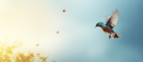 Obraz premium Graceful Bird Soars in the Sky with Elegance and Freedom After Feeding