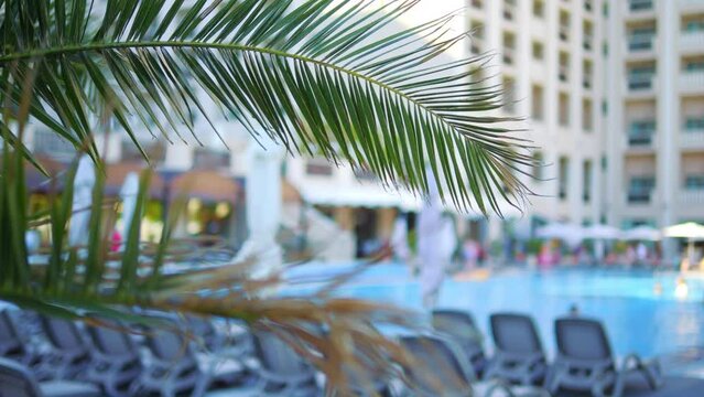 Hotel building view from a poolside with palm leaves in the foreground in 4k slow motion 120fps