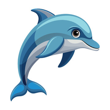 Dolphin illustration on White Background