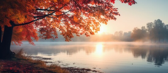 Majestic Autumn Tree with Vibrant Red Leaves in Foggy Morning Light