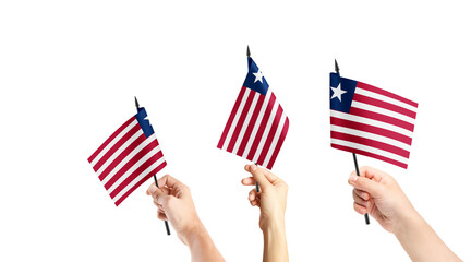 A group of people are holding small flags of Liberia in their hands.