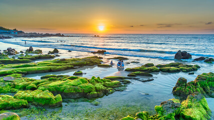 Amazing of rock and moss at Co Thach beach,Tuy Phong, Binh Thuan province, Vietnam, Seascape of...