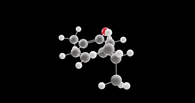 Carvacrol molecule, rotating 3D model of cymophenol, looped video on a black background