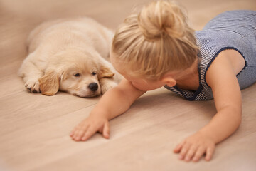 Child, puppy and hug with rest, floor and pet with love at house. Kid, dog and golden retriever or sleepy labrador with sleeping, bonding and sharing together with tired look and animals or pets