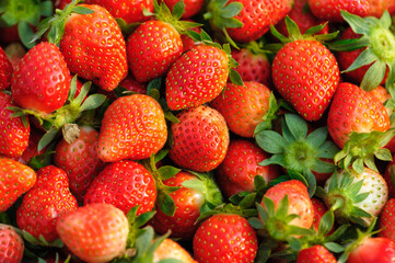 Fresh red strawberry fruits closeup