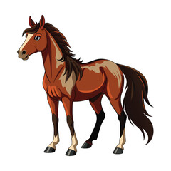 Horse illustration on White Background