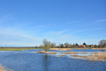 Seenlandschaft bei Pritzerbe im Havelland