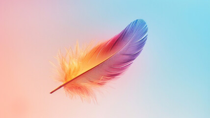 Rainbow feathers on pastel background