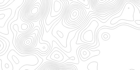 Abstract white topographic map background with lines. Background of the topography map. White wave paper curved reliefs abstract background. The topographic map contour in lines isolated.