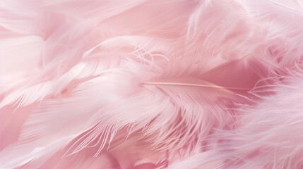 Abstract up close soft pink feathers background, furry fluffy texture
