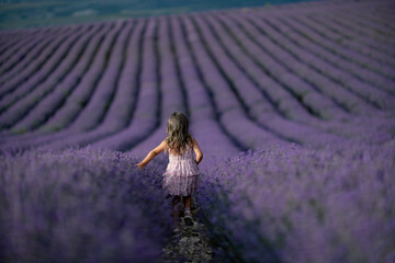 Lavender field girl. Back view happy girl in pink dress with flowing hair runs through a lilac field of lavender. Aromatherapy travel