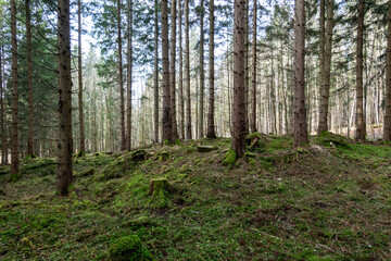 Novohradské hory, Czech Republic