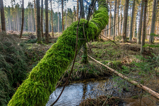 Novohradsk&eacute; hory, Czech Republic