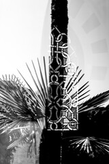 Arabic House with Window and Palm Leaf Reflection and Sunlight in Switzerland.