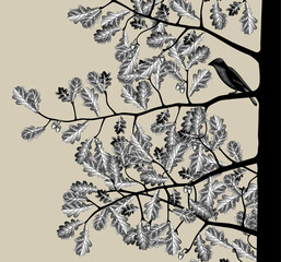 Vintage engraved drawing of a part of an oak tree with branches and leaves and a sitting bird. Vector illustration