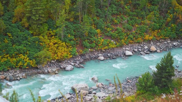 4K landscape shot of blue coloured Baspa river flowing in the forest in the Himalayas as seen from Chitkul in Kinnaur, Himachal Pradesh, India. Baspa river during the autumn season in the Baspa valley
