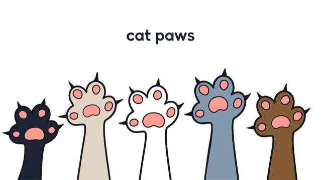 diversity cute Cat paws row vector illustration