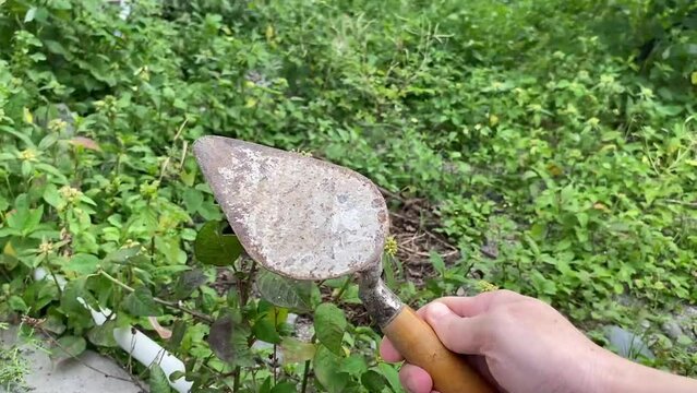 home gardening with old, rusty tools