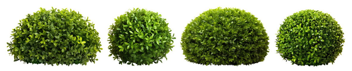 Set of green garden bushes, cut out - Powered by Adobe
