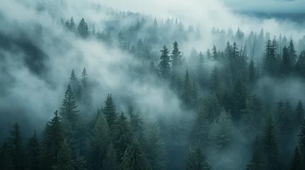 Zelfklevend Fotobehang Mistig bos fog falls through trees in the wood Generative AI 