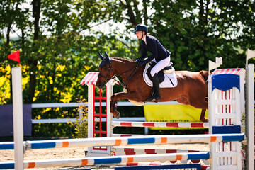 Horse show jumping horse with rider woman over the jump during a test in the show jumping competition.
