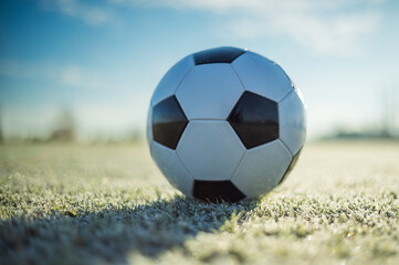 White soccer ball lying on the grass at football pitch © Dziurek