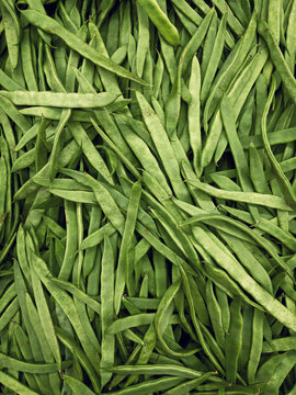 Full frame shot abundance of vibrant green bean pods
