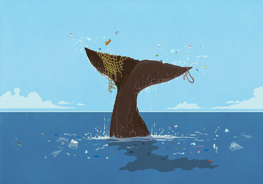 Pollution falling from whale fluke above ocean surface
