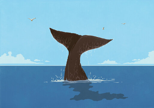 Whale tail splashing above ocean surface
