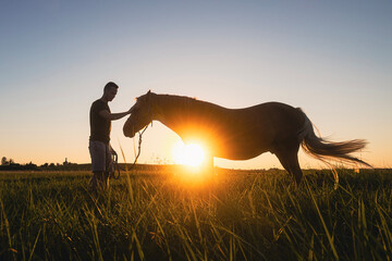 Silhousette of man while stroking of therapy horse on meadow at sunset. Themes hippotherapy, care and friendship between people and animals..
