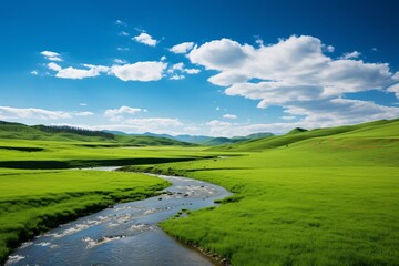 a river running through a green field
