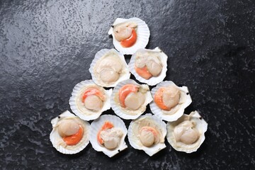 Fototapeta na wymiar Fresh raw scallops with shells on black textured table, flat lay