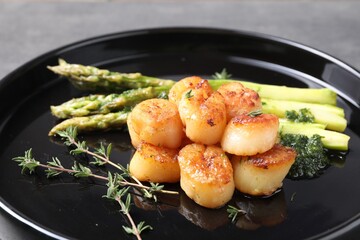 Delicious fried scallops with asparagus and thyme on plate, closeup
