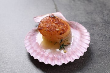 Delicious fried scallop in shell on grey table, closeup
