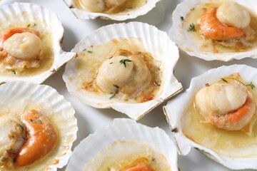 Fried scallops in shells on plate, closeup
