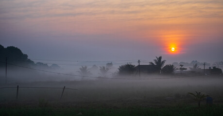 Landscape with sunrise in rural farmland in India. Foggy sunrise at Goa Plantations. Early morning.