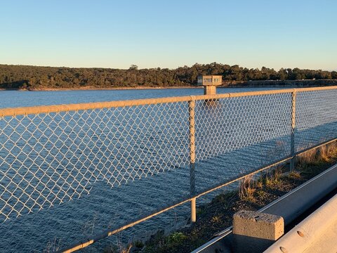 A road with a railing alongside a beautiful forest field and a serene waterscape during sunset