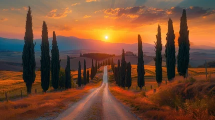 Rolgordijnen Tuscany Landscape with Cypress Trees at Sunset in Vintage Italy © Custom Media