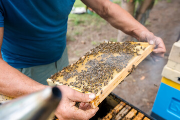 Fantastic beehive producing honey, nature, man and bee, Poland - 752153388