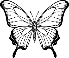 Vintage Sketch Isolated Vector Butterfly Animal in hand-draw style
