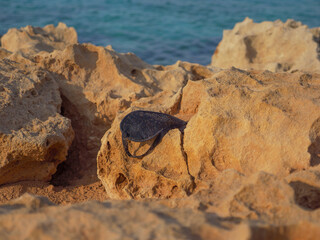 Dirty black sleeping mask covered in dust and sand lays lost and forgotten on a big porous rock on...