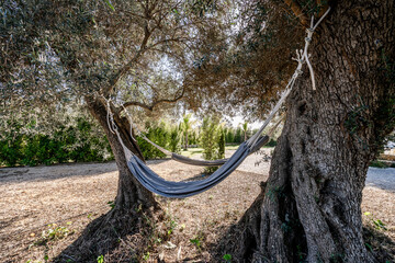Relaxing hammocks in the trees, Portugal