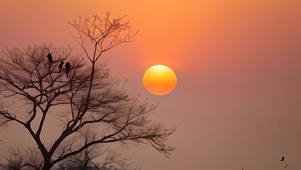 Fototapeta premium sunset in the sky