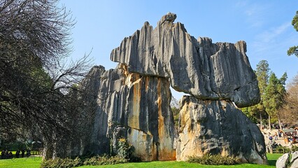 Serene landscape of Shilin Stone Forest located in China