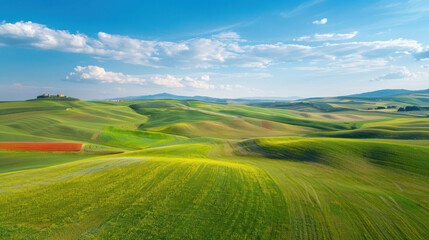 Obraz premium Field and blue sky landscape with grass and sky
