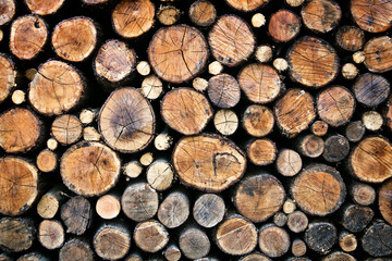 stack of firewood