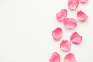 Pink rose petals on white background. Valentine's Day concept