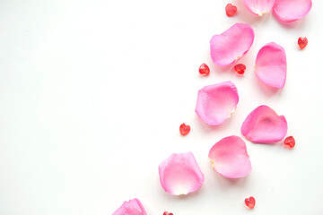 Pink rose petals on white background. Valentine's Day concept